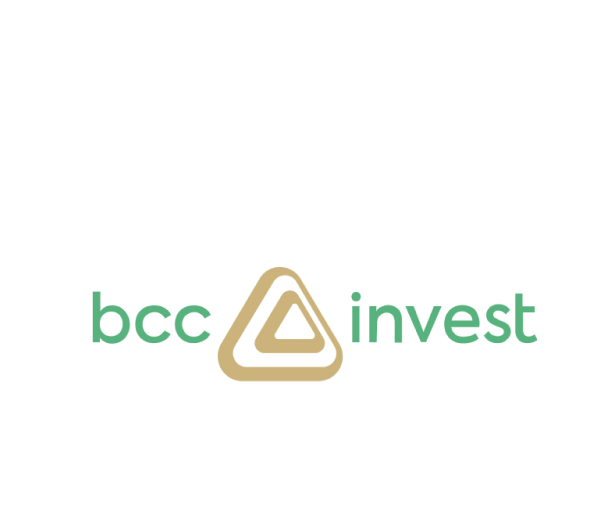 https://bcc-invest.kz/storage/app/uploads/public/673/c19/768/673c19768eae9694921086.png