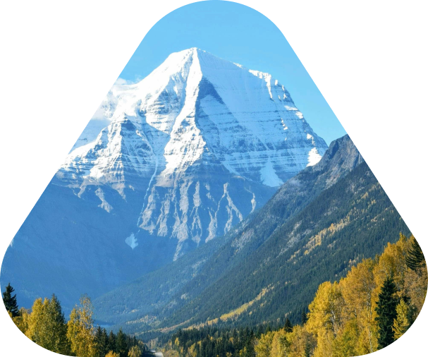 https://bcc-invest.kz/storage/app/uploads/public/68e/4c3/15e/68e4c315eb9ae608119931.png
